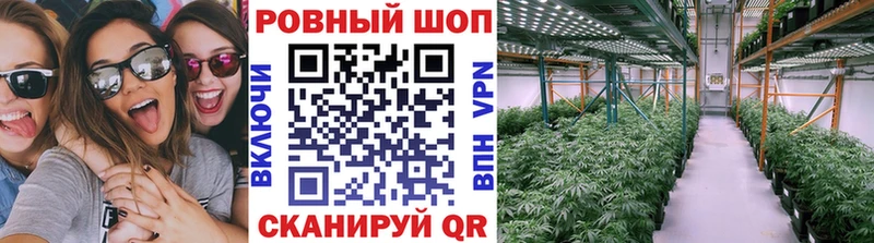 Где продают наркотики Заринск АМФЕТАМИН  ГАШ  МАРИХУАНА 