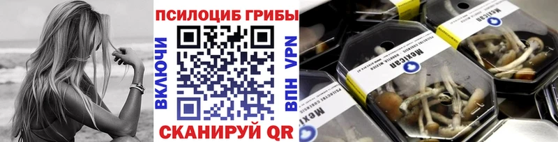 Псилоцибиновые грибы Psilocybine cubensis  магазин продажи   Заринск 
